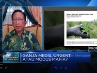 Wacana Legalisasi Ganja Medis, Ahli: Perlu Kajian Mendalam!