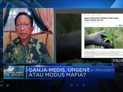 Wacana Legalisasi Ganja Medis, Ahli: Perlu Kajian Mendalam!