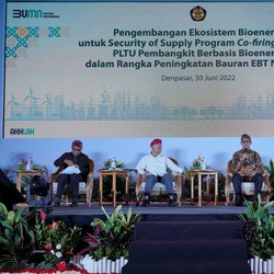 Pulau Jawa Punya Potensi Hasilkan Biomassa dalam Jumlah Besar