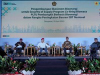 Pulau Jawa Punya Potensi Hasilkan Biomassa dalam Jumlah Besar