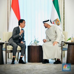 Jokowi Temui Presiden MBZ dari UEA, Apa Hasilnya?