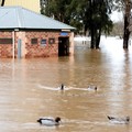 Gak Cuma Jakarta, Tetangga RI Ini Juga Waspada Banjir!
