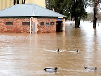 Gak Cuma Jakarta, Tetangga RI Ini Juga Waspada Banjir!