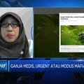 BRIN: Legalisasi Ganja Butuh Kajian & Riset Klinis Mendalam