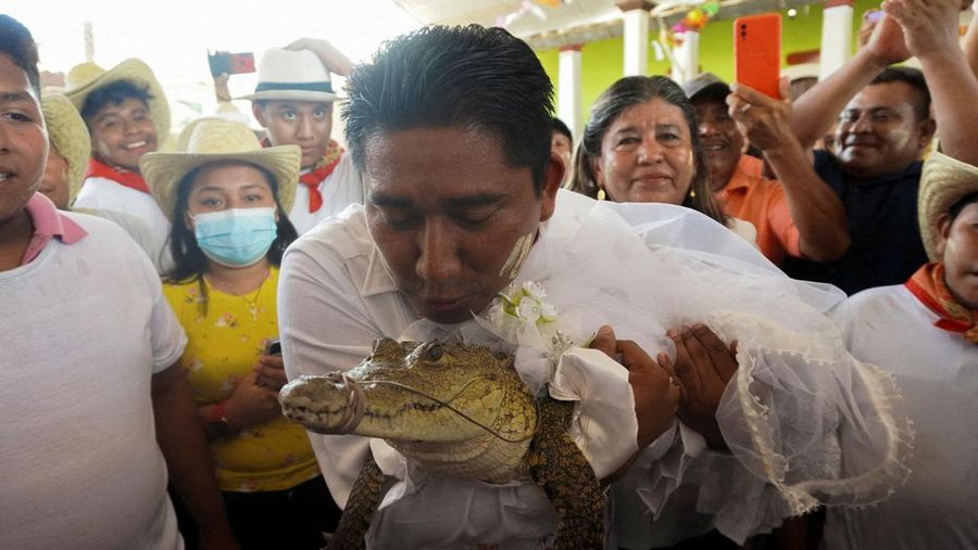 Walikota San Pedro Huamelula Victor Hugo Sosa mencium buaya berusia tujuh tahun yang berpakaian seperti pengantin selama pernikahan ritual tradisional, sebagai doa untuk memohon karunia alam , di San Pedro Huamelula, di negara bagian Oaxaca, Meksiko, Kamis (30/6/2022). (REUTERS/Jose de Jesus Cortes)