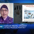 Urgensi Ganja Medis, Guru Besar UGM: Jadi Pilihan Terakhir!