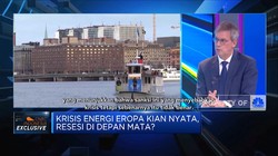 Dubes UE: Krisis Pangan Global Bukan Karena Sanksi Uni Eropa