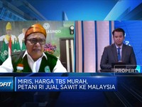 Angkat Harga TBS Sawit, Petani Minta Relaksasi Kebijakan DMO