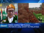 Jual TBS Sawit ke Malaysia, Petani: Kami Siap Kena Sanksi!