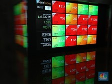 Tok! Dari Perkebunan, Provident Sah Jadi Perusahaan Investasi