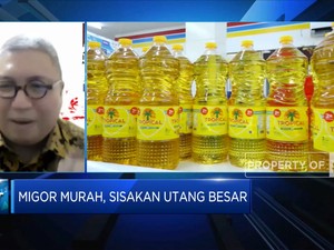 Peritel Tagih Utang Rp 130 M Program Migor Murah, Kenapa?