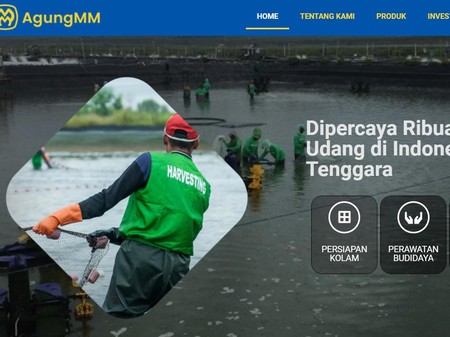 Intip Jeroan Calon Emiten Mantan Menteri KKP Rokhmin Dahuri