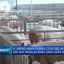 Xi Jinping Pusing! Covid Belum Usai, Kini Ada Masalah Baru