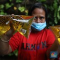 Kompak! Minyak Goreng Murah 'Menghilang' Tak Tersisa di Pasar