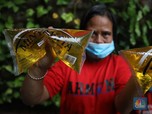 Klaim Mendag: Harga Minyak Goreng Curah di Bawah Rp 14 Ribu!