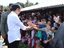 Kala Jokowi Borong Cabai yang Harganya Makin 'Pedas'