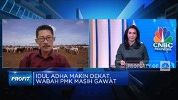 Wabah PMK Makin Gawat, Peternak: Vaksinasi Harga Mati!