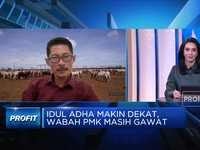 Wabah PMK Makin Gawat, Peternak: Vaksinasi Harga Mati!