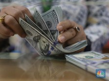 Miris! Negeriku Kumpulkan Cadangan Dolar dari Utang