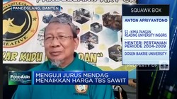Mantan Mentan: Harga TBS Sawit Anjlok Efek Aturan DMO dan DPO