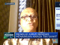 Pengusaha Kesulitan Ekspor CPO, Harga TBS Sawit Terjun Bebas