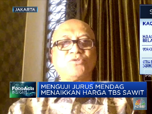 Pengusaha Kesulitan Ekspor CPO, Harga TBS Sawit Terjun Bebas