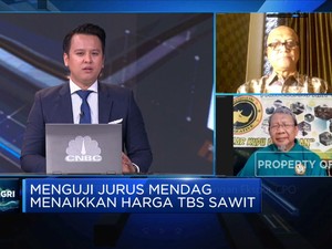 Pengusaha: Petani Sawit Menderita, Terpaksa Jual ke Malaysia