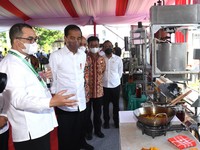 Jokowi Setujui Usulan Pabrik Minyak Makan Merah, Untuk Apa?