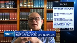 Dilema, Lonjakan Stok Sawit RI Bikin Harga CPO Anjlok
