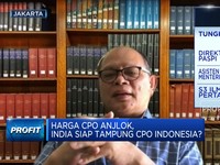 Dilema, Lonjakan Stok Sawit RI Bikin Harga CPO Anjlok