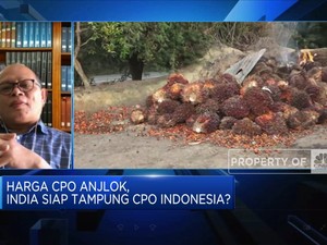 PASPI: Stok CPO Melimpah, RI Perlu Dorong Penyerapan B30