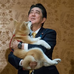 Deretan Potret Eks PM Jepang Shinzo Abe, Pencetus Abenomics