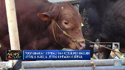 Masyarakat Diimbau Tak Konsumsi Kepala & Jeroan Hewan Kurban