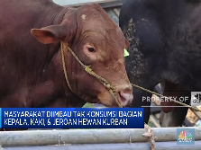 Masyarakat Diimbau Tak Konsumsi Kepala & Jeroan Hewan Kurban