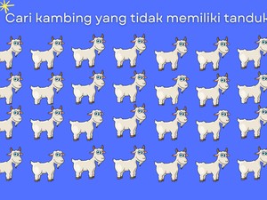 7 Tebak Gambar Ini Easy Banget, Gagal Temukan Perbedaannya? Fix Butuh Kacamata