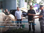 CT Arsa - TNI AL Sebar Semangat Berbagi Hewan Kurban