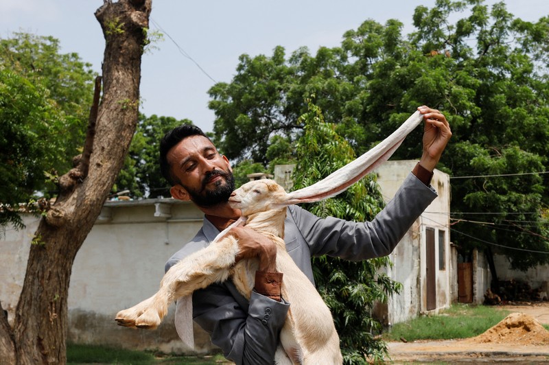 PAKISTAN-GOAT/ Simba, one month and four days old kid goat with 22-inch long ears, is held by his owner in Karachi, Pakistan July 8, 2022. REUTERS/Akhtar Soomro