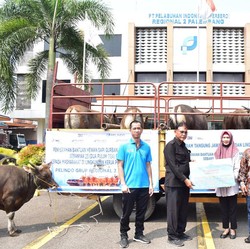 Idul Adha 1443 H, Pelindo Salurkan 500 Lebih Hewan Kurban