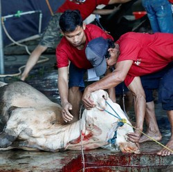 Beda Idul Adha Muhammadiyah-Pemerintah, Ini Kata Ahli BRIN