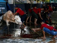 Simak 5 Cara Jitu Agar Daging Kurban Idul Adha Tahan Lama