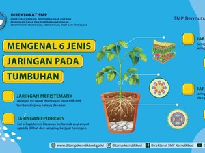 Jaringan pada Hewan dan Tumbuhan Lengkap dengan Penjelasannya