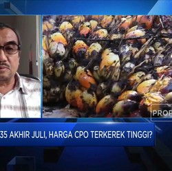 Campuran Minyak Sawit 35% ke BBM Aman Bagi Kendaraan?