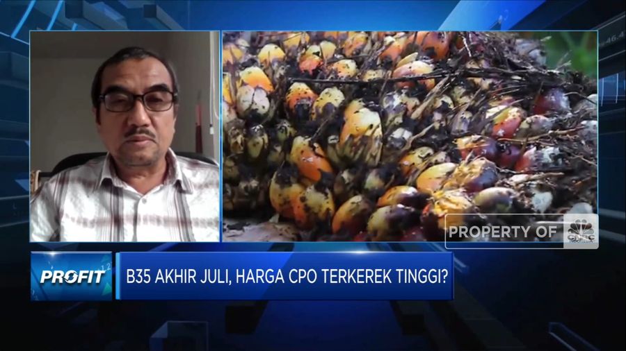 Pemerintah Bakal Terapkan B35, Pengusaha Buka Suara!