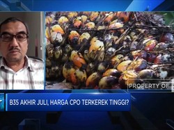 Pemerintah Bakal Terapkan B35, Pengusaha Buka Suara!