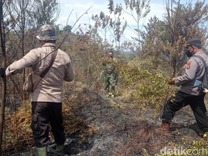 2 Perusahaan Bantah Disegel Kementerian LH karena Terlibat Karhutla di Riau
