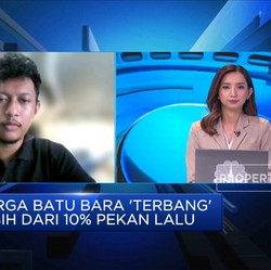Sempat Terbang Tinggi, Harga Batu Bara Mereda?