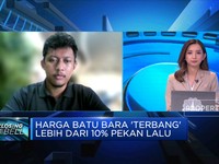 Sempat Terbang Tinggi, Harga Batu Bara Mereda?