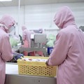 Pendapatan Naik, Tapi Laba CPIN Anjlok 19%! Ini Penyebabnya
