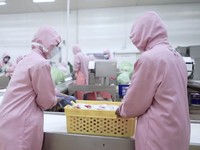 Pendapatan Naik, Tapi Laba CPIN Anjlok 19%! Ini Penyebabnya