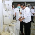 Ambisi Jokowi: RI Swasembada Beras, Bisa Produksi 12 Ton!